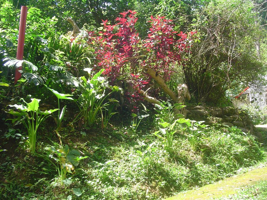 Casa Dell Angelo Apartamentos Visconde de Mauá Exterior foto